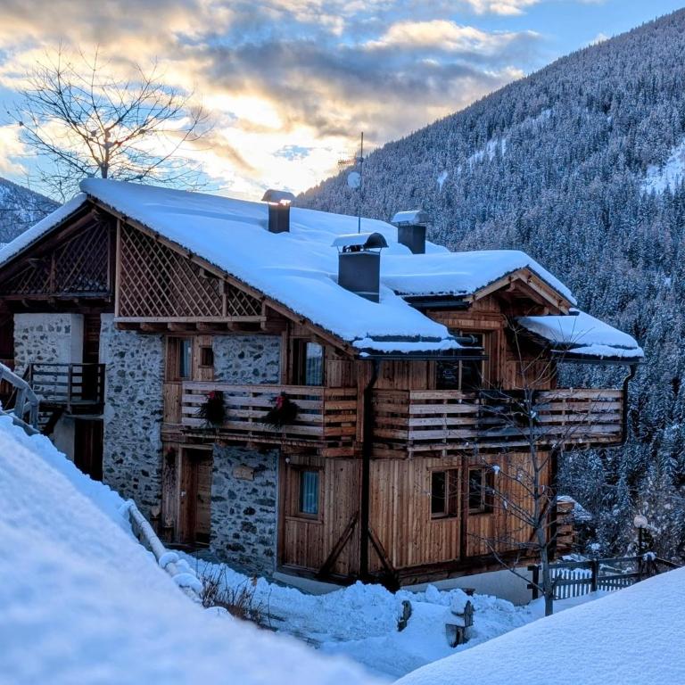 Mas del Mezdì - mountain chalet Val di Rabbi - Chalet 2 Chambres - 10