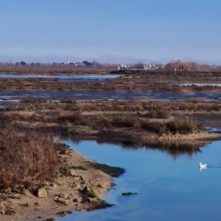 A&G Elettra flat a pochi passi dal mare e Venezia - Appartamento con 2 Camere da Letto - 34