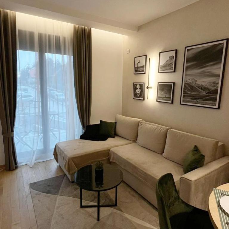 Zlatan Apartman Zlatibor - One-Bedroom Apartment - 3