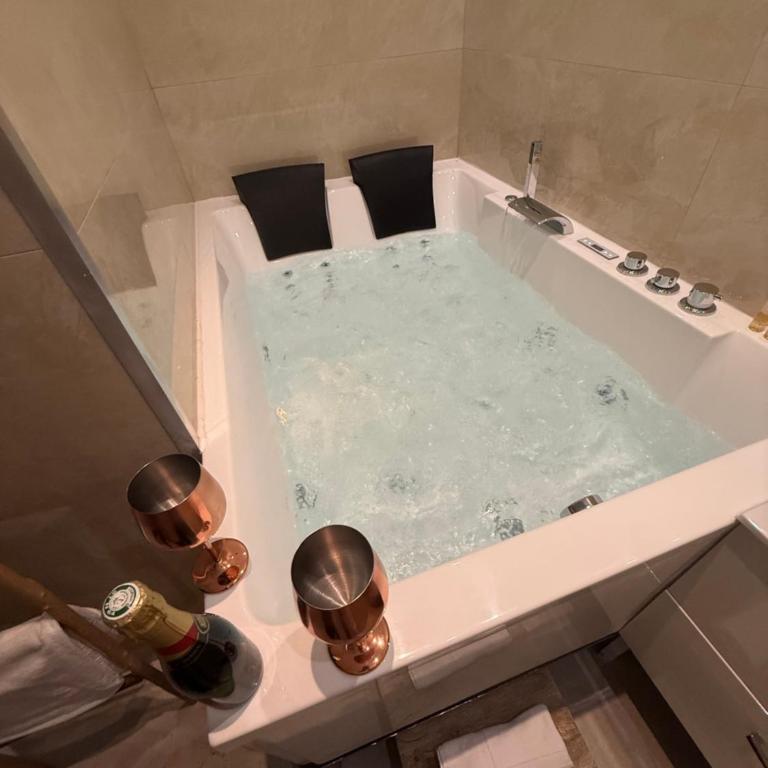 LES BULLES DE MONA - Alcove - Spa - Clim - Monolocale con Vasca Idromassaggio - 12
