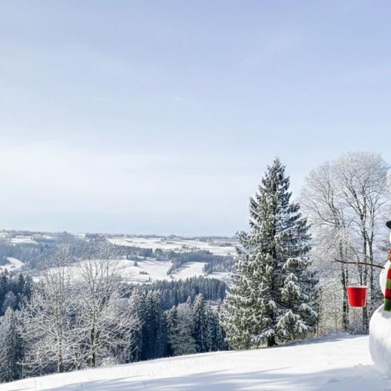 Bergnest Lodge mit Bergblick - Ca 3 min Skilift - Balkon - Garten - 6 Pers - Hund - Luftkurort - nähe Buchenegger Wasserfälle - Eistobel - Bodensee - Apartment mit 1 Schlafzimmer - 52