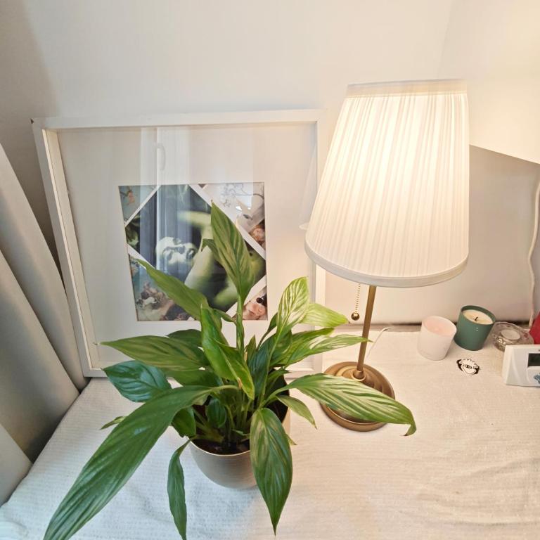 Notre Dame in Latin Quarter Stylish Flat for 6 - Appartement 2 Chambres avec Balcon - 27