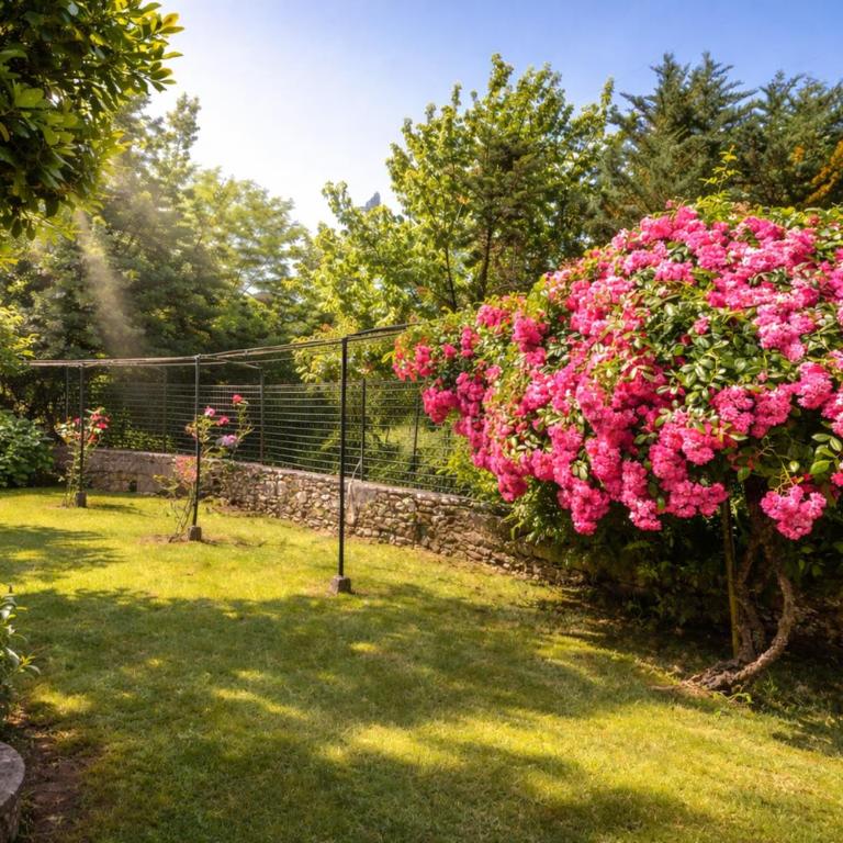 Il Palazzaccio - Natura, Piscina & Relax a Lucca - Appartamento con 2 Camere da Letto e Vista Piscina - 14
