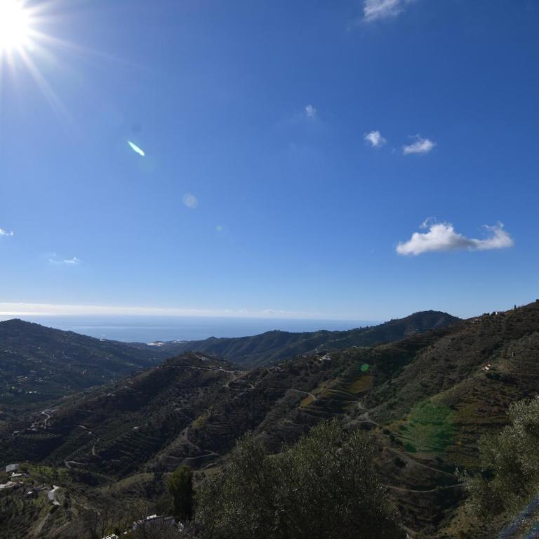 Finca Durillo with private Pool - Chalet de 3 dormitorios - 34