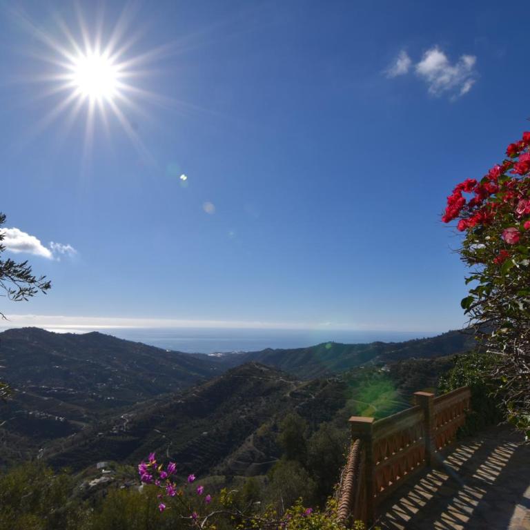 Finca Durillo with private Pool - Chalet de 3 dormitorios - 7