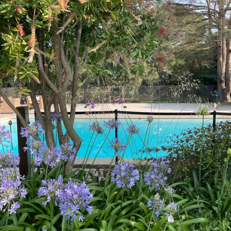 Mas Des Fleurs - GPV - Two-Bedroom Apartment - 26