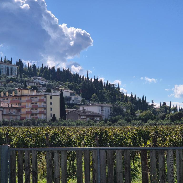 Lake Garda Bike&Hike Apartment - Monolocale con Vista Montagna - 9