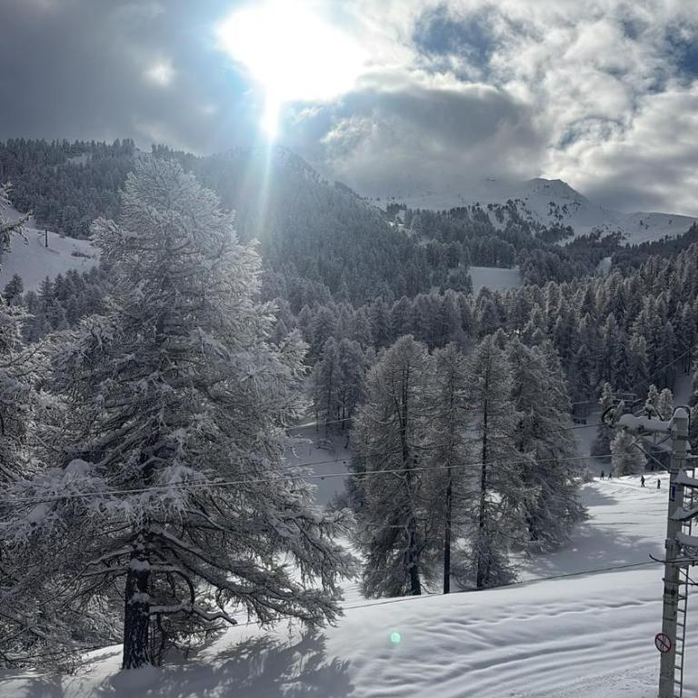 Duplex cosy jusqu'à 6 personnes- chalet des Pléiades - départ skis aux pieds en bordure de piste sans portage - au milieu des fleurs en été - l'autre duplex du chalet est également à nous - Chalet - 6