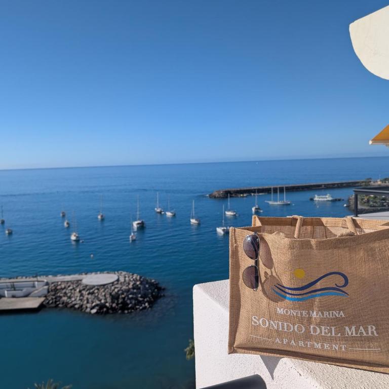 Sonido del mar Gran Canaria - Montemarina - luxury panoramic view - Apartamento de 1 dormitorio - 32