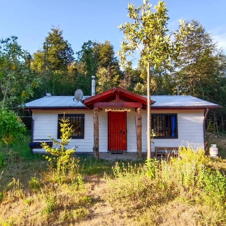 Cabaña entre coihue - Three-Bedroom House - 1