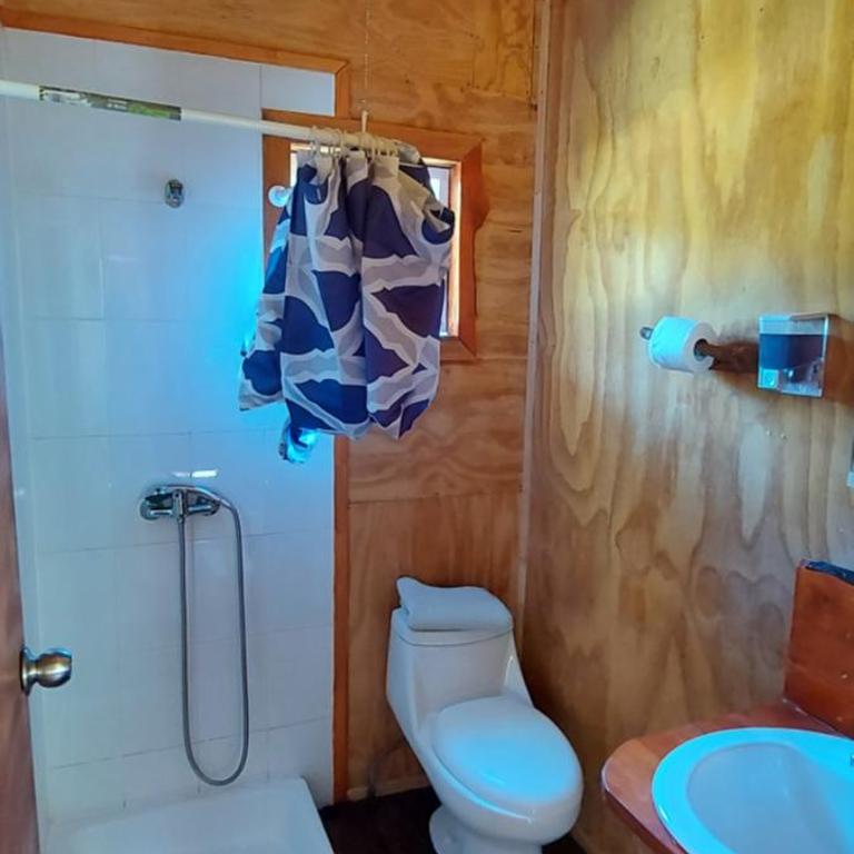 Cabañas Entre Mañios y Coigües - Two-Bedroom Apartment - 4
