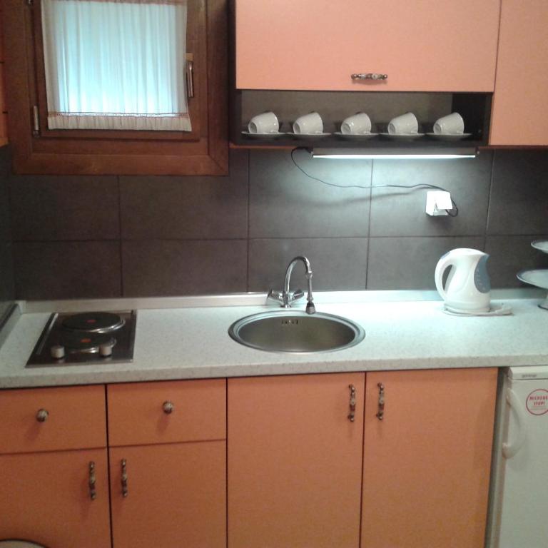Apartments Vila Zubović - Studio Apartment - 12