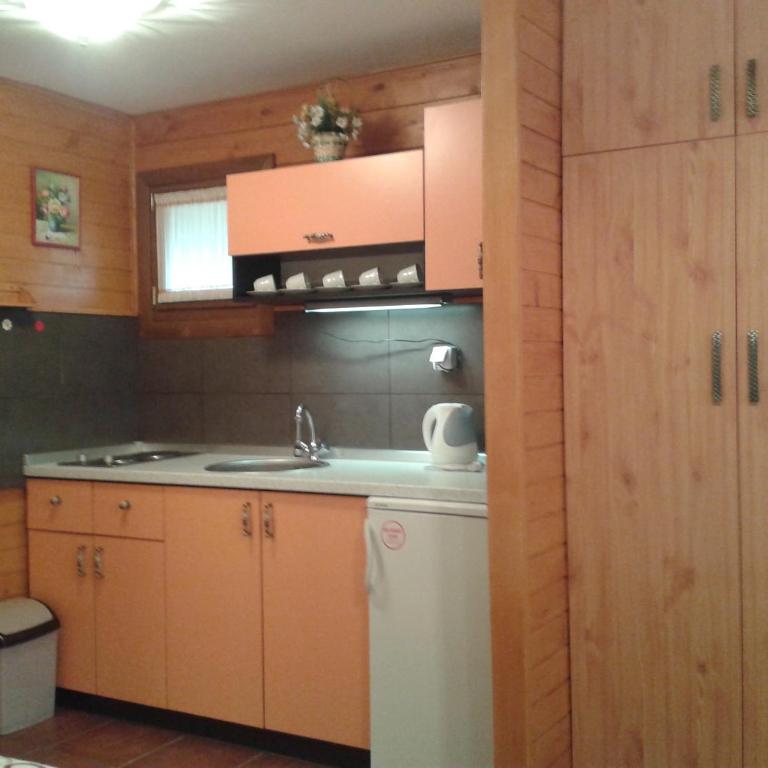 Apartments Vila Zubović - Studio Apartment - 4