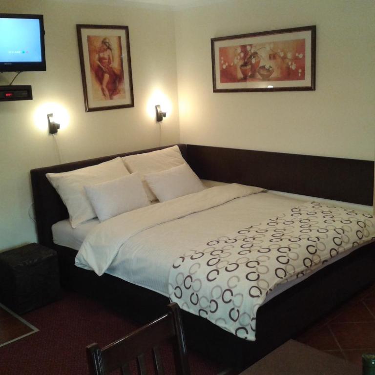 Apartments Vila Zubović - Studio Apartment - 1
