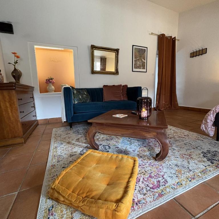 Studio Provençal au centre-ville de Vienne - Appartement 1 Chambre - 4
