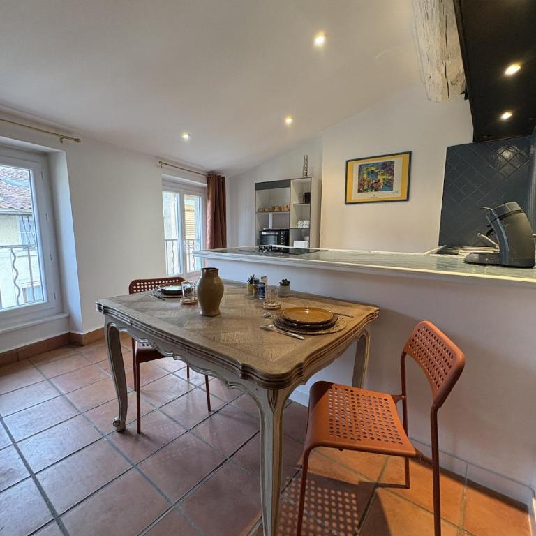 Studio Provençal au centre-ville de Vienne - Appartement 1 Chambre - 13