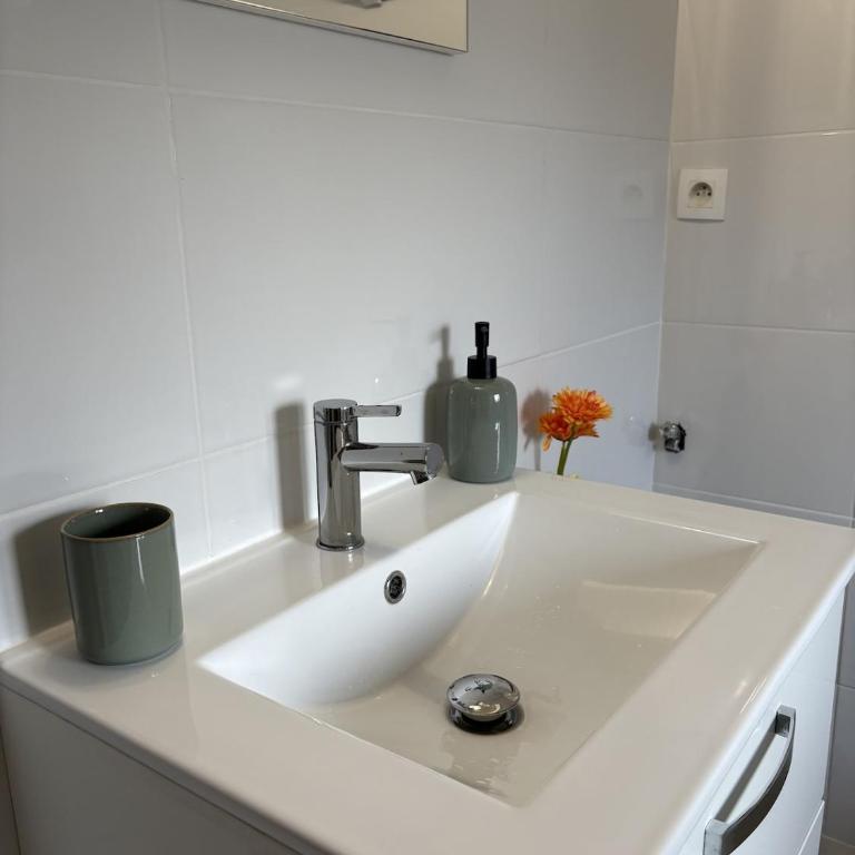 Studio Provençal au centre-ville de Vienne - Appartement 1 Chambre - 17
