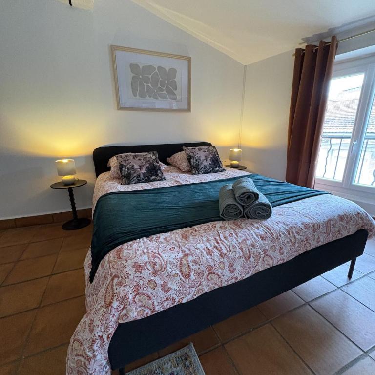 Studio Provençal au centre-ville de Vienne - Appartement 1 Chambre - 18