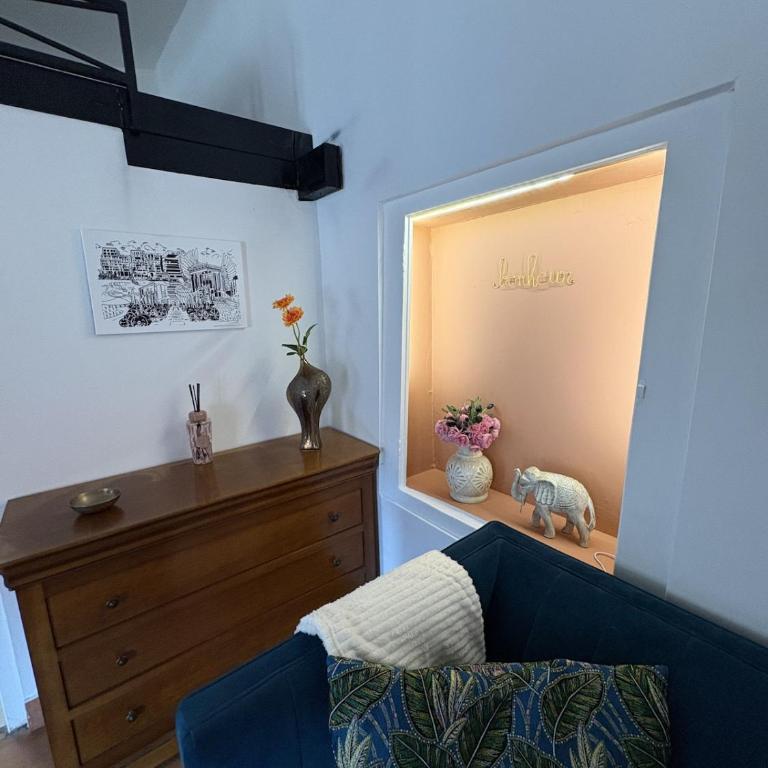 Studio Provençal au centre-ville de Vienne - Appartement 1 Chambre - 19