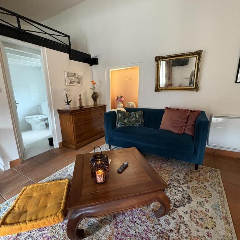 Studio Provençal au centre-ville de Vienne - Appartement 1 Chambre - 25