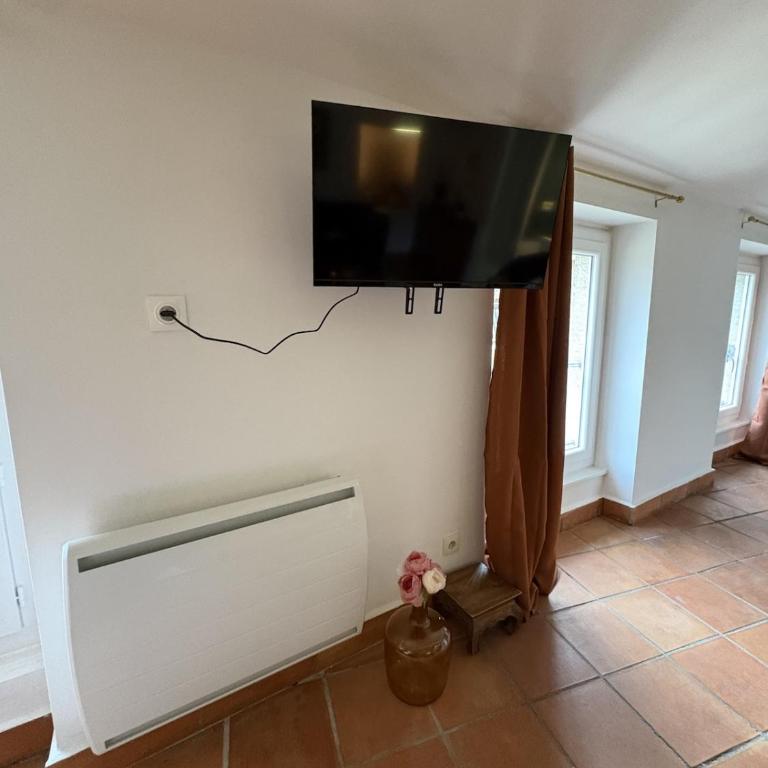 Studio Provençal au centre-ville de Vienne - Appartement 1 Chambre - 29