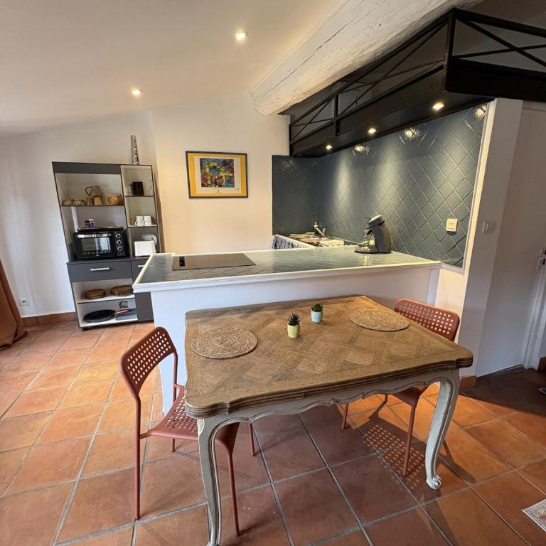 Studio Provençal au centre-ville de Vienne - Appartement 1 Chambre - 30