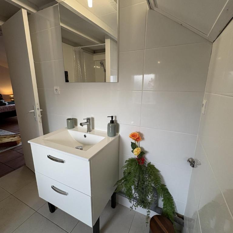 Studio Provençal au centre-ville de Vienne - Appartement 1 Chambre - 34