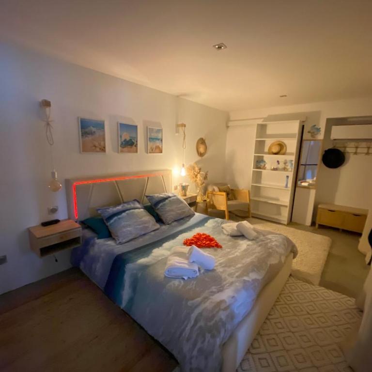 Studio avec sauna et jacuzzi - One-Bedroom Apartment - 6