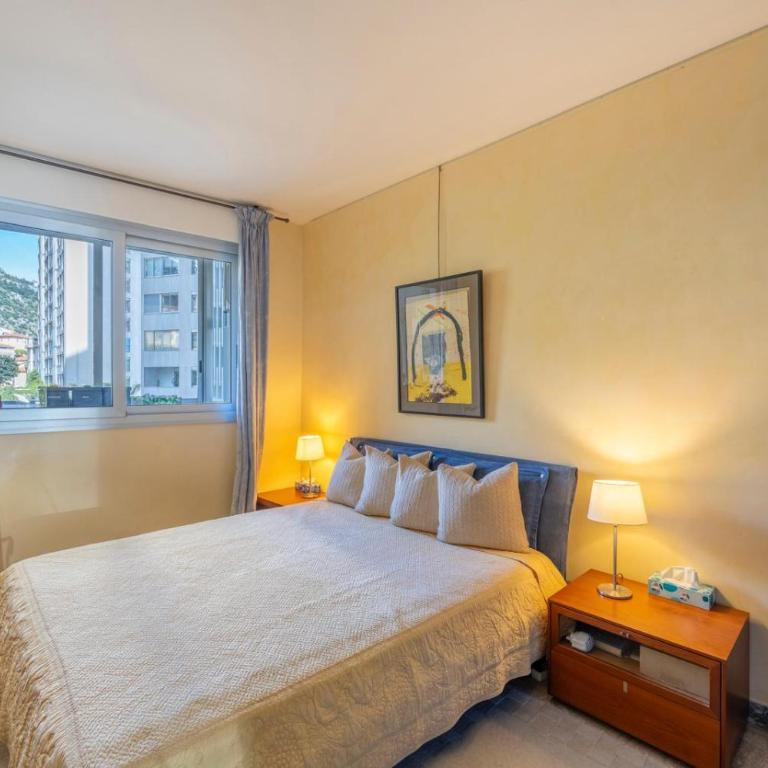 Seaview, Pool and Gym! In Monaco - Appartement 2 Chambres avec Balcon et Vue sur la Mer - 7