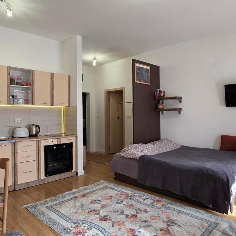 PriSMi STUDIO - Studio with Terrace - 6