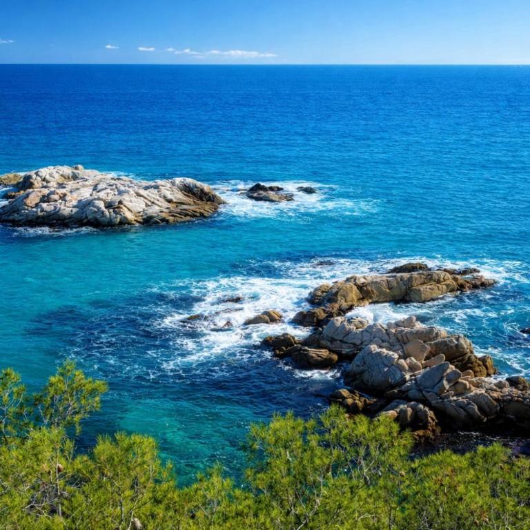 Catalunya Casas Villa Moderna 200m to village and secluded beach - Villa con piscina privada - 30