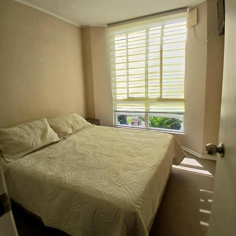 Departamento La Serena en Avenida Del Mar sector Cuatro Esquinas - Three-Bedroom Apartment - 9
