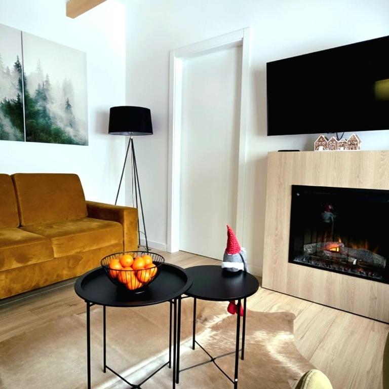 SNJEŽNA ČAROLIJA lux - Apartman sa 1 Spavaćom Sobom - 3