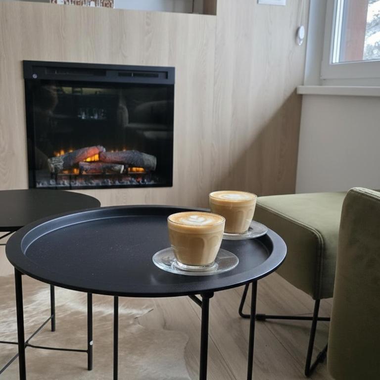 SNJEŽNA ČAROLIJA lux - Apartman sa 1 Spavaćom Sobom - 4