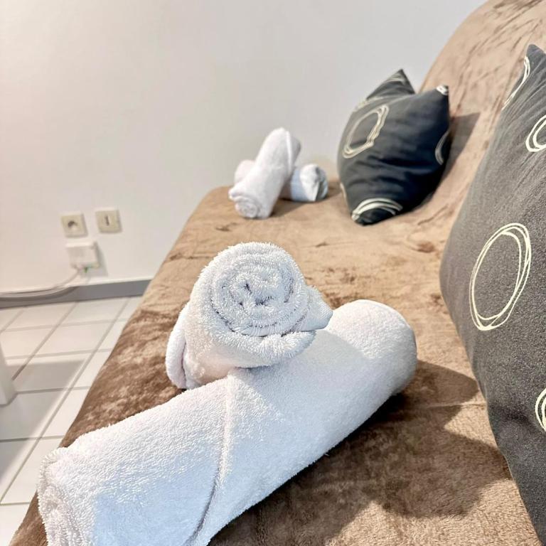 Studio équipé et cosy proche gare Grenoble - Apartment mit 1 Schlafzimmer - 4