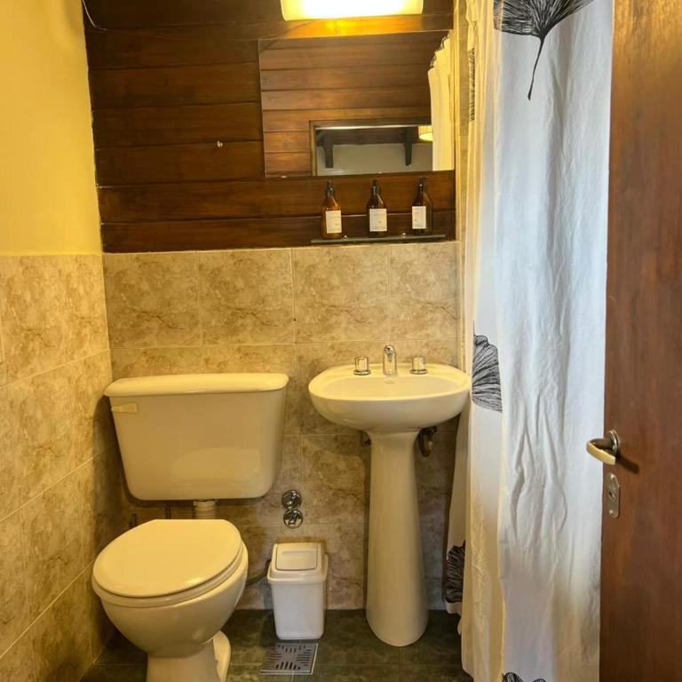 Casa Viedma - Habitación Doble Estándar - 1 o 2 camas - 15