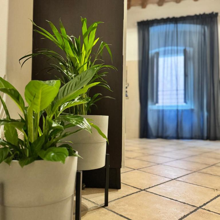 A Casa di Diego - Appartamento nel cuore della Toscana - Appartamento con 1 Camera da Letto - 8