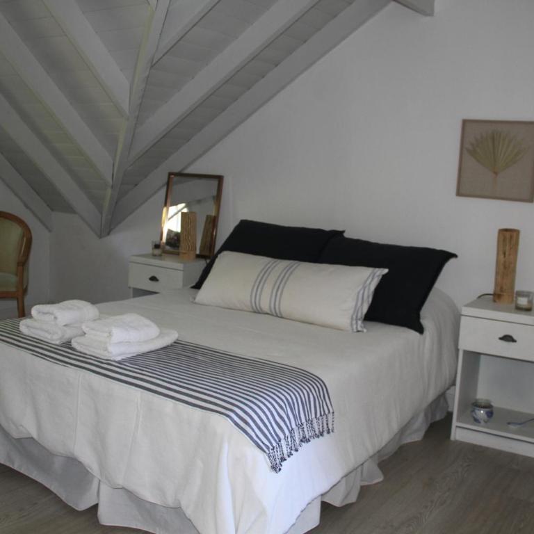 Loft de Playa Calma & Encuentro - Apartamento de 2 dormitorios - 66