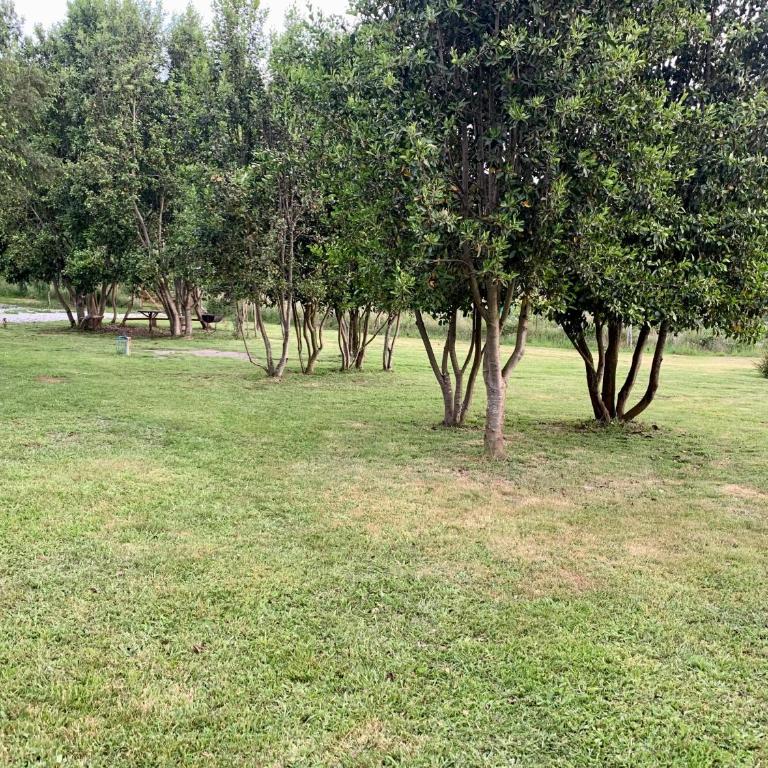 Cabaña segunda faja Villarrica - Casa de 2 dormitorios - 3