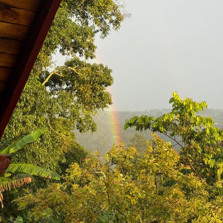 Hotel Cabañas Del Quindio - Double Room with Mountain View - 5