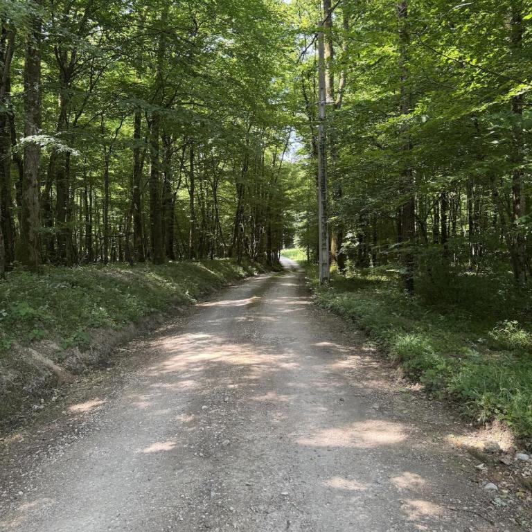Gite au coeur des bois - Le Chêne du Verger - Haus mit 1 Schlafzimmer - 2