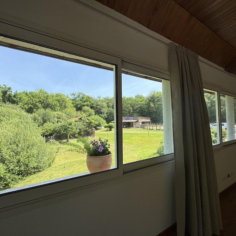 Gite au coeur des bois - Le Chêne du Verger - Haus mit 1 Schlafzimmer - 30