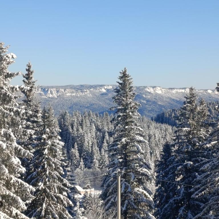 Apartmani Stella Jahorina - Apartment with Mountain View - 36