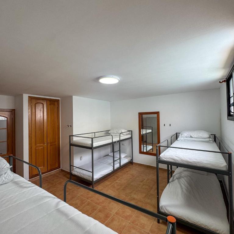 Surf and Stay House - Cama en habitación compartida mixta de 6 camas - 1