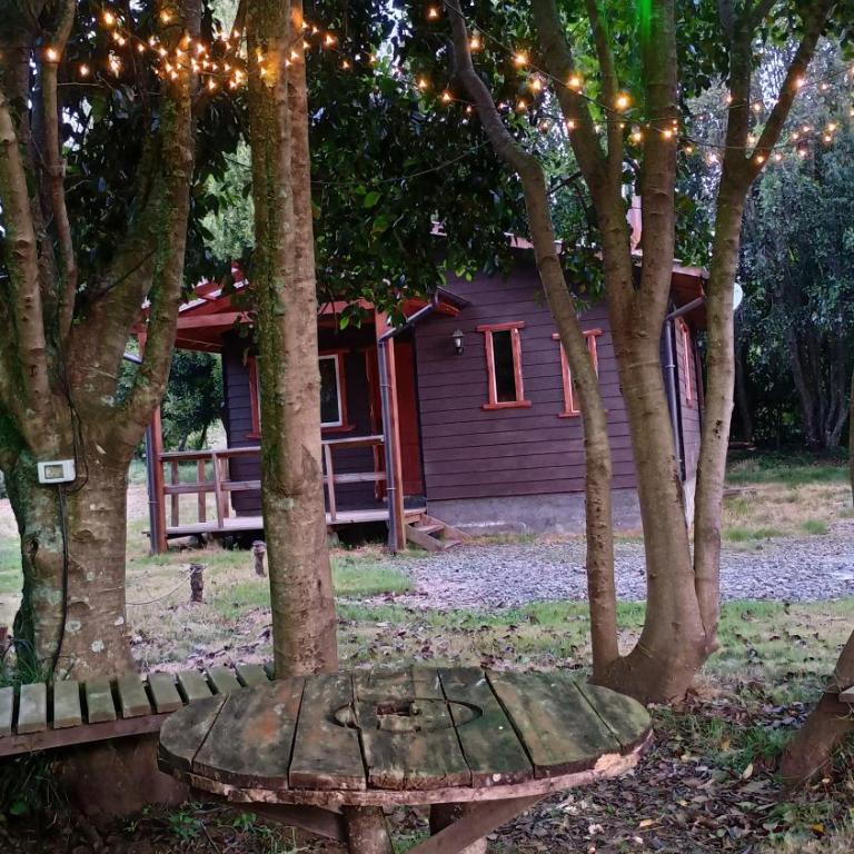 Cabaña segunda faja Villarrica - Casa de 2 dormitorios - 15