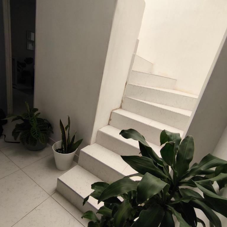 Apartamento lujo grupo familiar - Apartamento de 1 dormitorio - 4
