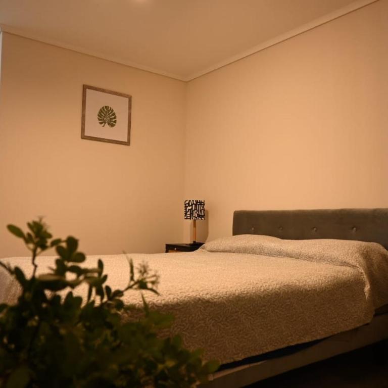 Depto Nuevo Full equipo, Estacionamiento grande - One-Bedroom Apartment - 2