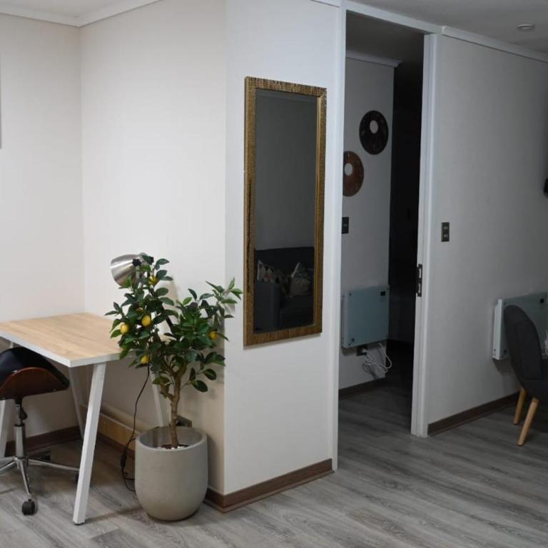 Depto Nuevo Full equipo, Estacionamiento grande - One-Bedroom Apartment - 3