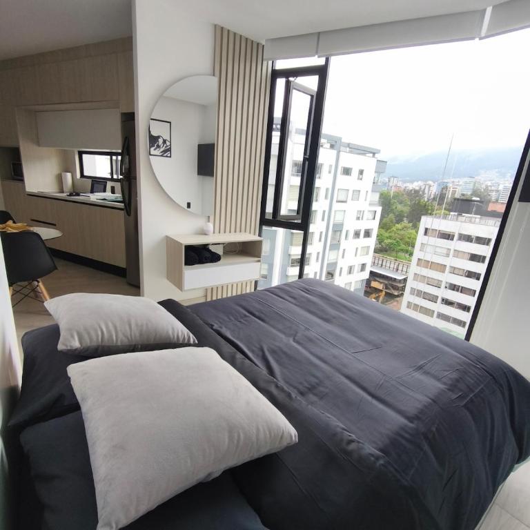 Apartamento de lujo en La Carolina, piso alto con jacuzzi y piscina - One-Bedroom Apartment - 3