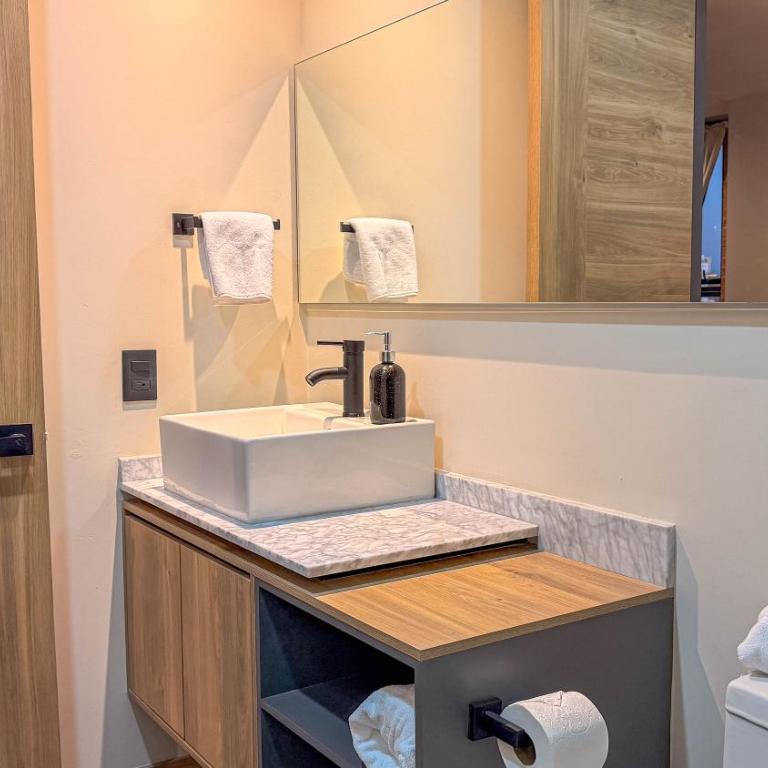 Suite para 5 con Vista, Pool, Gym, Col Americana 701 - Apartamento de 1 dormitorio - 7